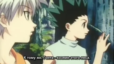 Кадры из сериала Охотник х Охотник (1999)